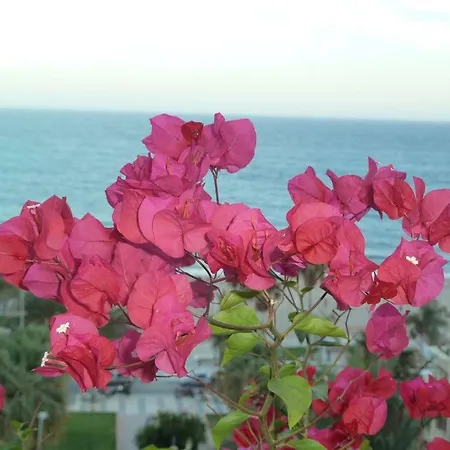 Daire Casa Bengeo, Capistrano Playa